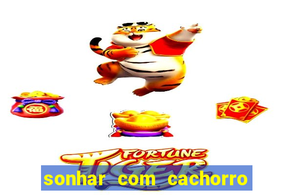 sonhar com cachorro numeros da mega sena